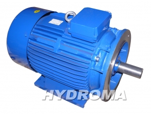 motor asynchrónny patko-prírubový